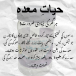 Hayat-e-Maida - Image 4