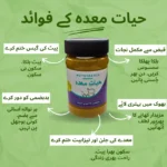 Hayat-e-Maida - Image 2