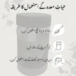 Hayat-e-Maida - Image 3